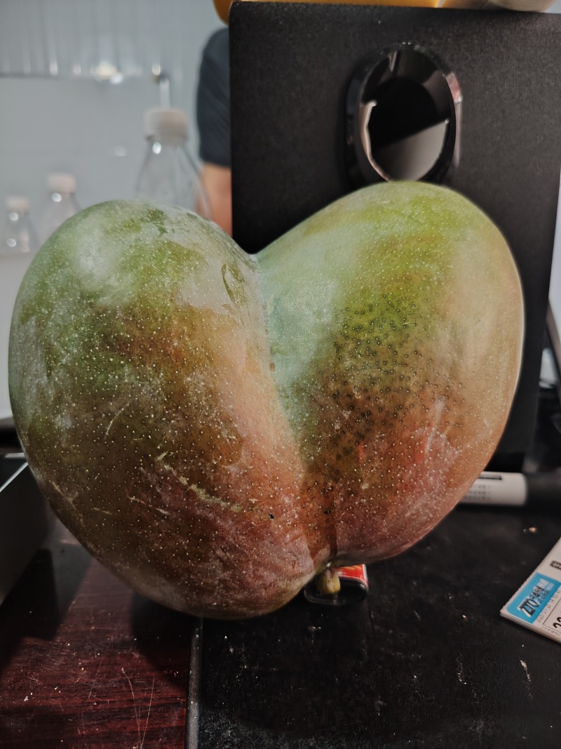 凯特芒果行情