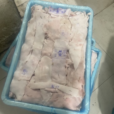 去油去毛猪碎皮。质量放心