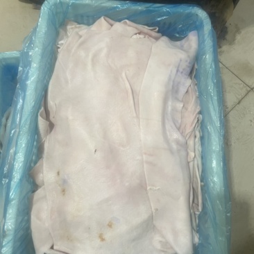 去油去毛猪大皮，脊背皮后腿皮五花皮诚信合作