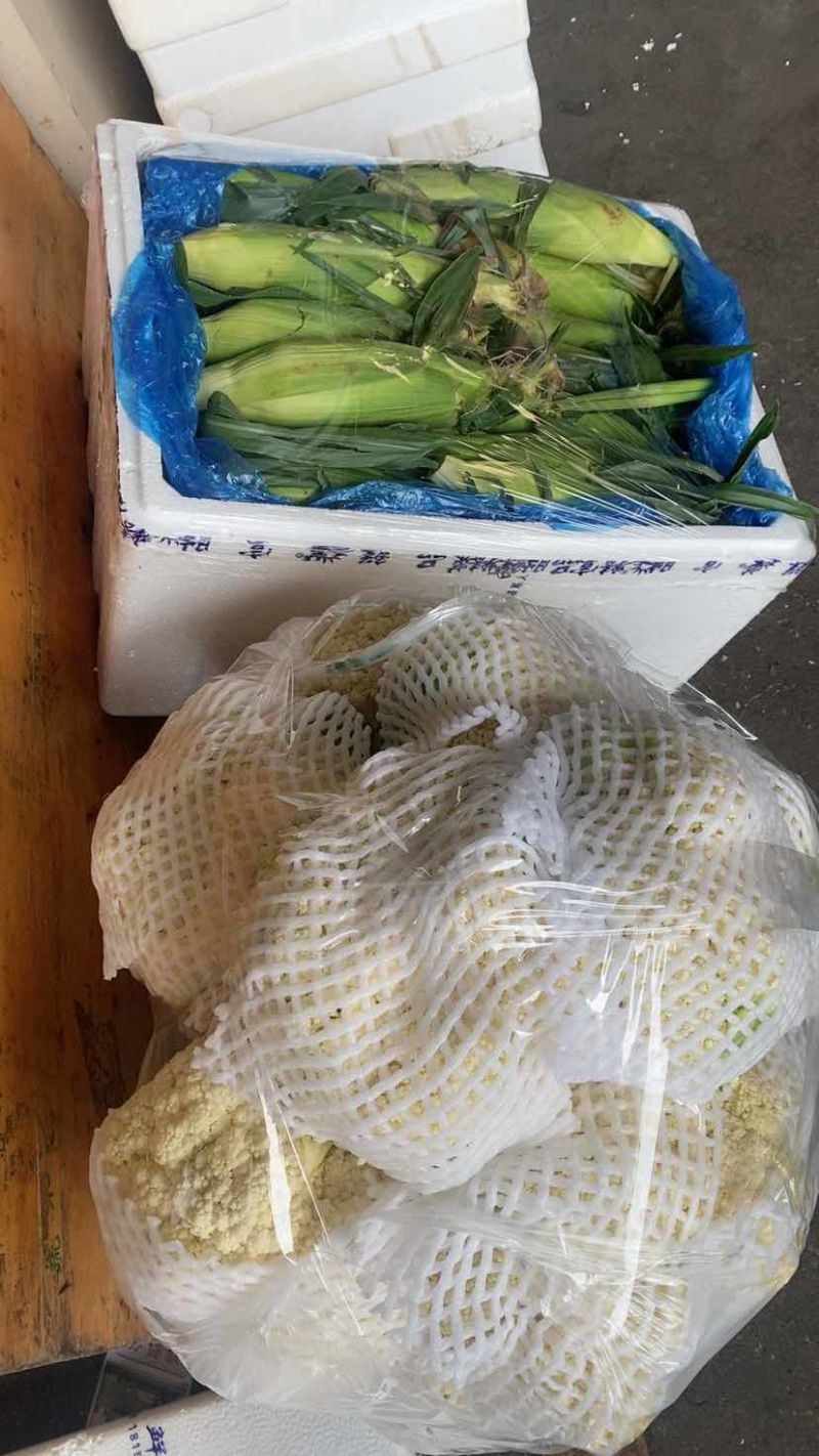 精品箱装花甜玉米甘肃散花