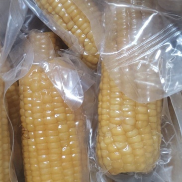 真空笨玉米粗粮代餐三高可食小时候味道电商一件代发通货批发