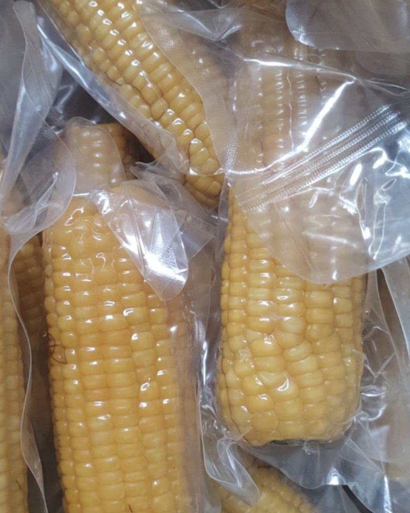 真空笨玉米粗粮代餐三高可食小时候味道电商一件代发通货批发