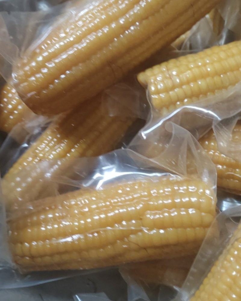 真空笨玉米粗粮代餐三高可食小时候味道电商一件代发通货批发