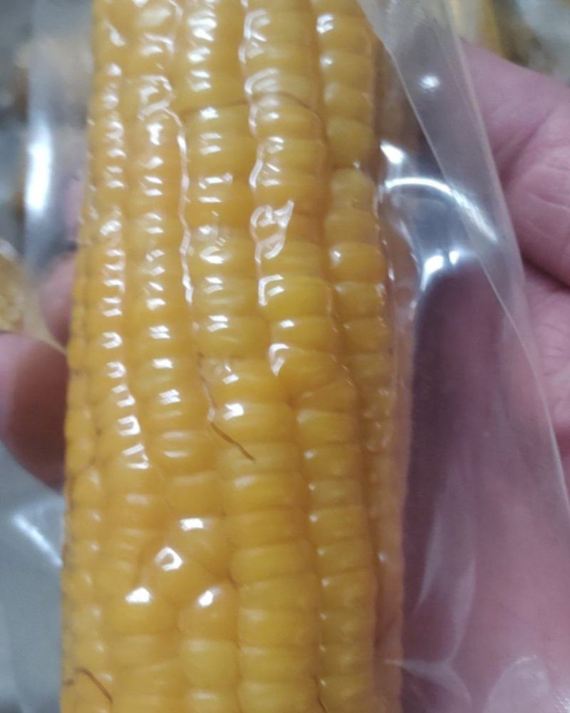 真空笨玉米粗粮代餐三高可食小时候味道电商一件代发通货批发