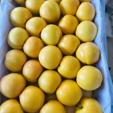 黄金蜜桃