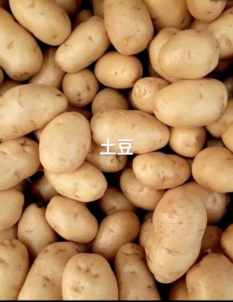 沃土土豆