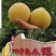 炎陵黄桃