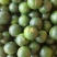 小青柑3.5起步