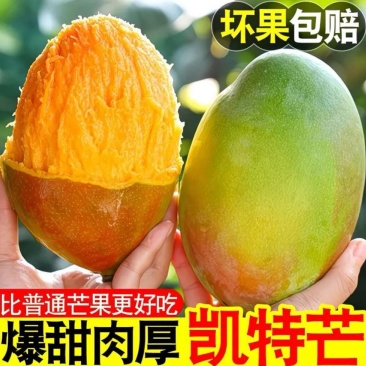 25年凯特芒电商货市场货一件代发有量有价
