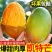 25年凯特芒电商货市场货一件代发有量有价