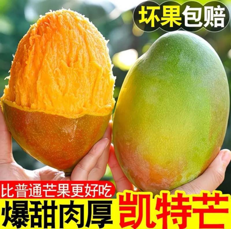 25年凯特芒电商货市场货一件代发有量有价