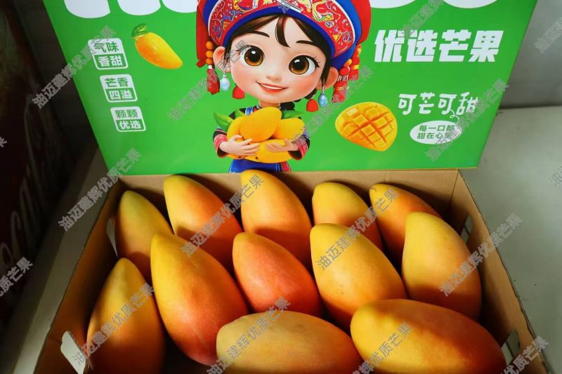 贵州望谟芒果