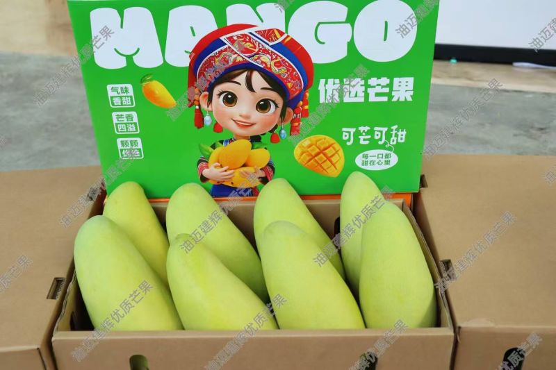 贵州望谟芒果