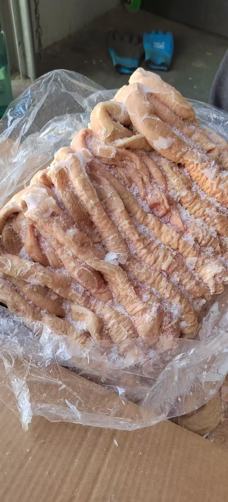 预煮大肠头