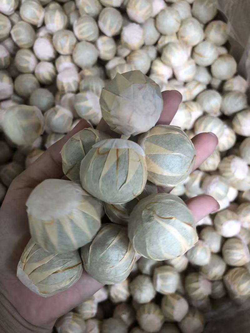 小青柑鲜果大量有货，可以加工小青柑普洱茶