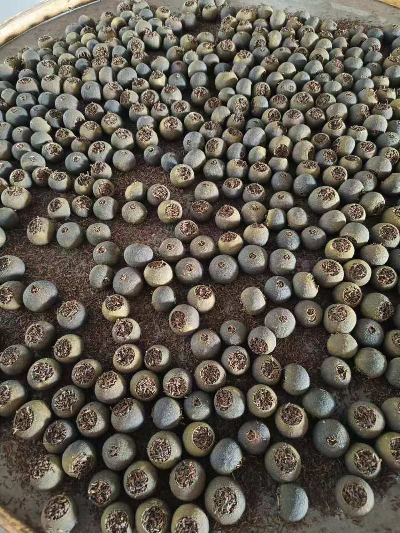小青柑鲜果大量有货，可以加工小青柑普洱茶