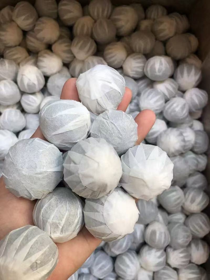 茶枝柑鲜果批发，可以加工小青柑普洱茶