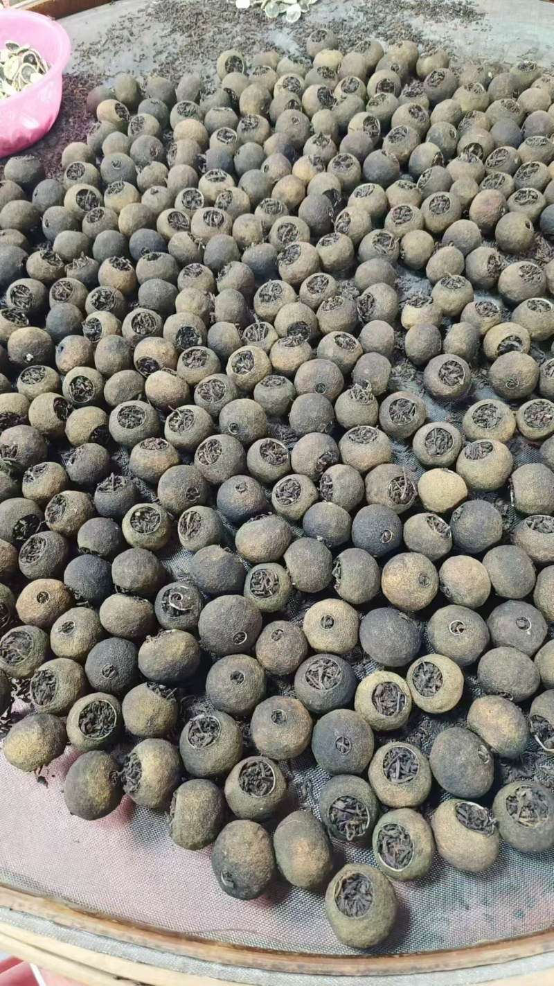茶枝柑鲜果批发，可以加工小青柑普洱茶