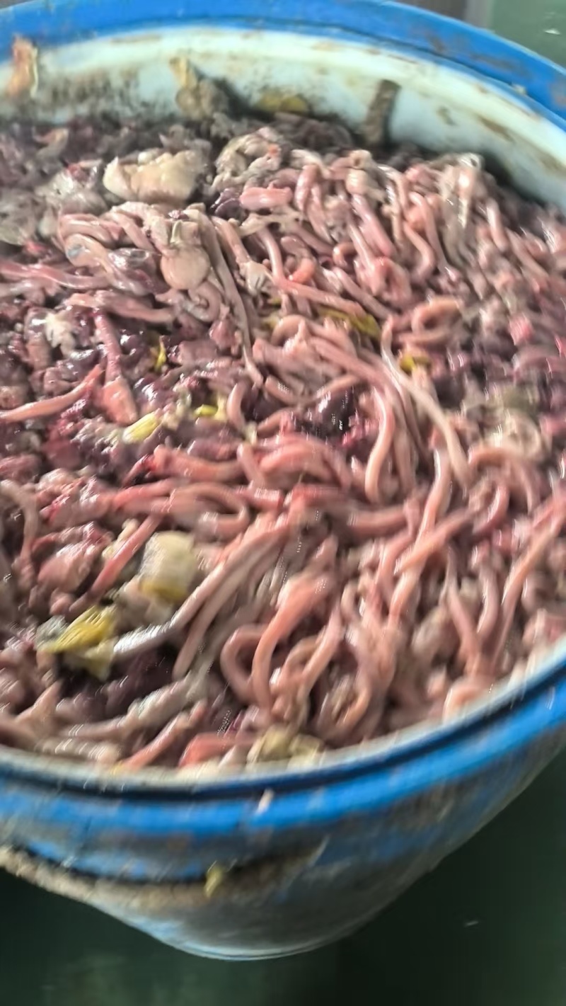每夭3吨以上鸡肠，鸡肝