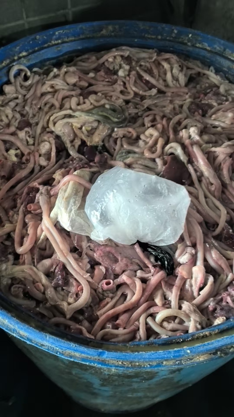 每夭3吨以上鸡肠，鸡肝