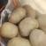 沙地黄心土豆，沃土系列，三两通天，四两通天，半斤起，边贸货，