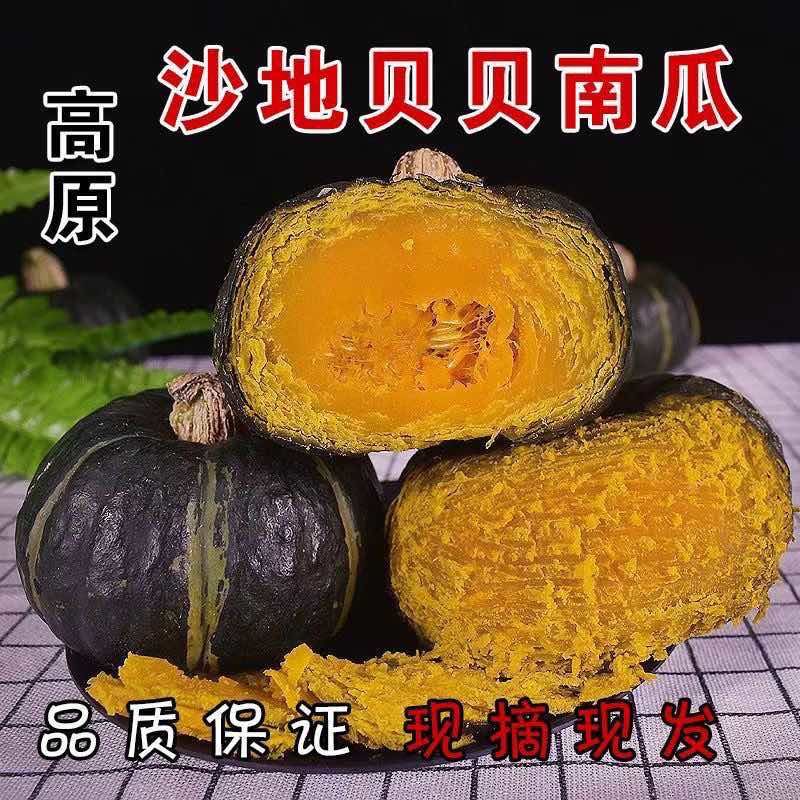 贝贝南瓜电商货不死号