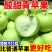 青苹果，河南青苹果，头茬，可一件代发，团购，批发。