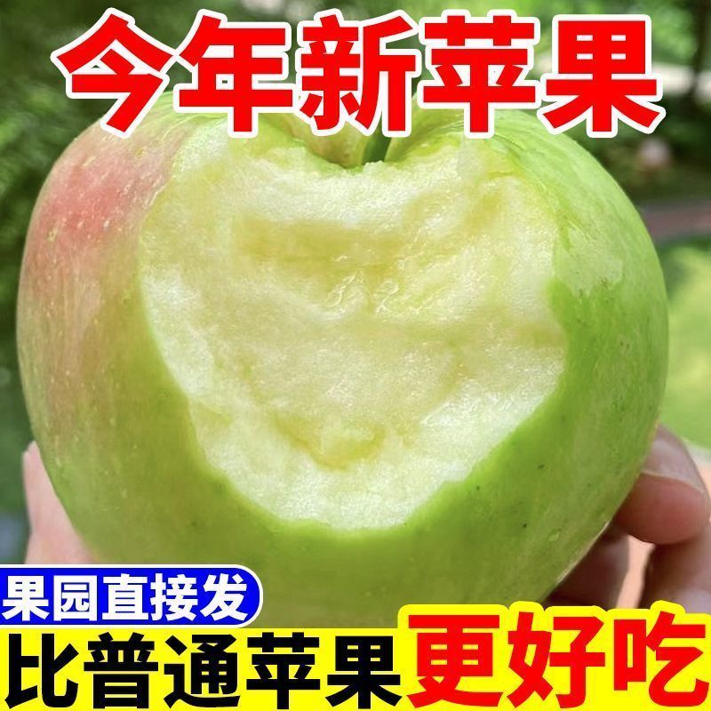 青苹果，可一件代发，团购，批发，