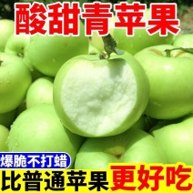 青苹果，河南青苹果，头茬，大量，可一件代发，批发，团购