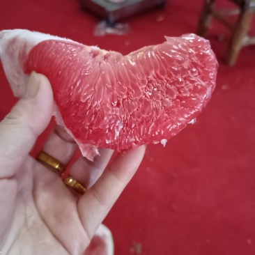 平和蜜柚在过20来天就可以上市了，代办加工厂
