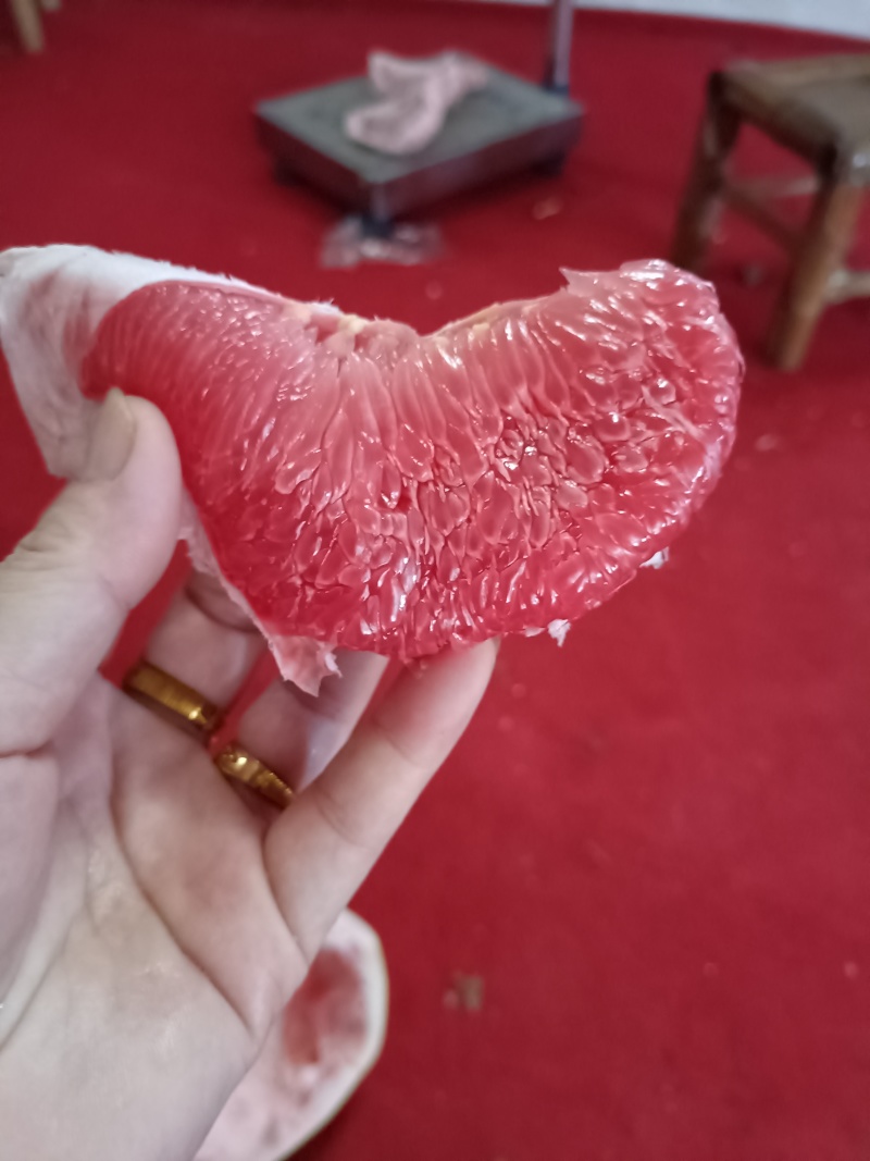 平和蜜柚在过20来天就可以上市了，代办加工厂