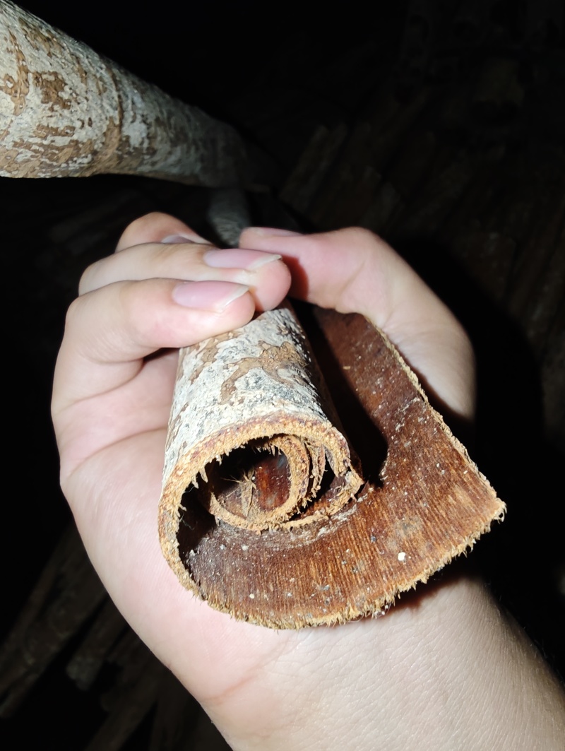 厚朴