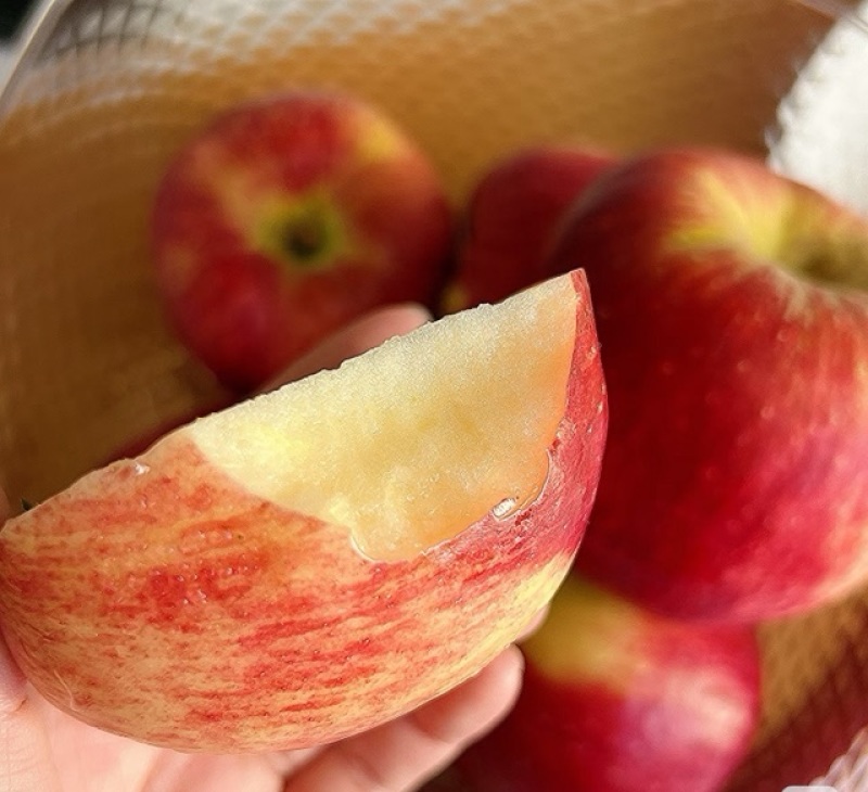 昆明市团结乡早熟华硕脆苹果