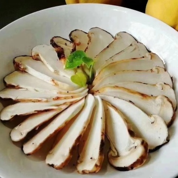中国松茸之乡雅江松茸