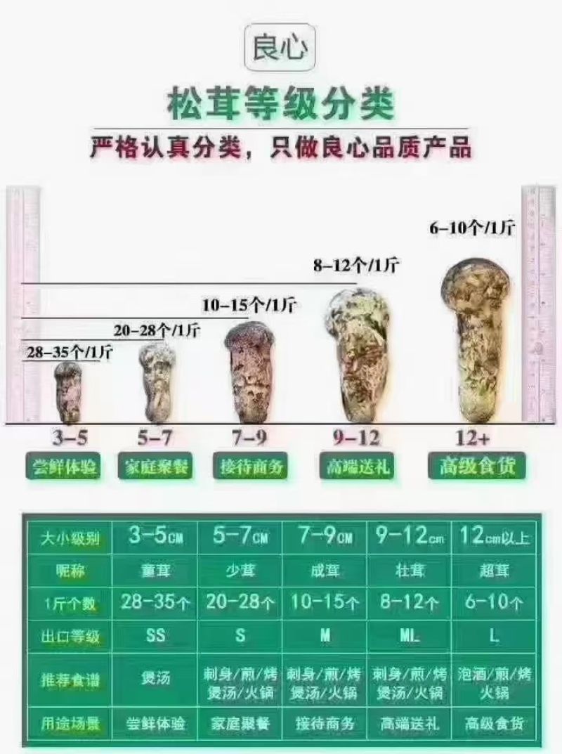中国松茸之乡雅江松茸