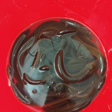 鳝鱼