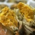 蟹农直发一手货源0中间商0贩子差价熟蟹18一斤活🦀