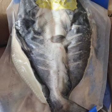 清江鱼