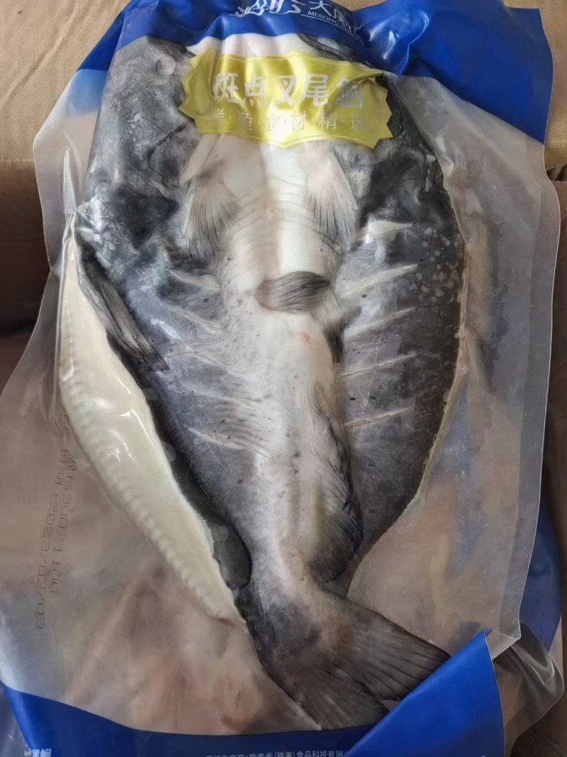 清江鱼