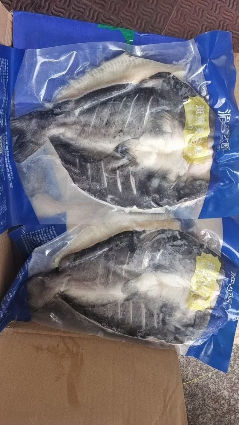 清江鱼