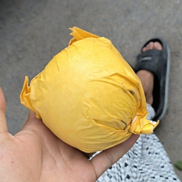 皇冠梨