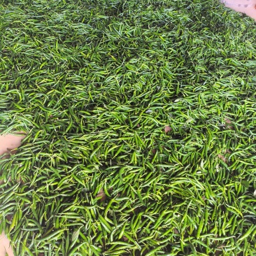 辣椒，青小米椒，红小米椒