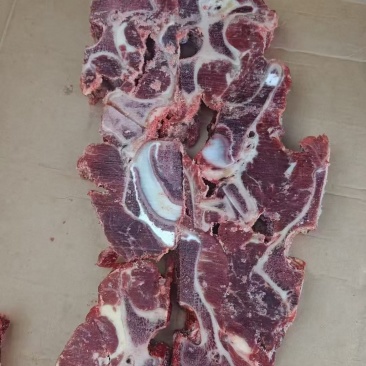 多肉牛脖骨