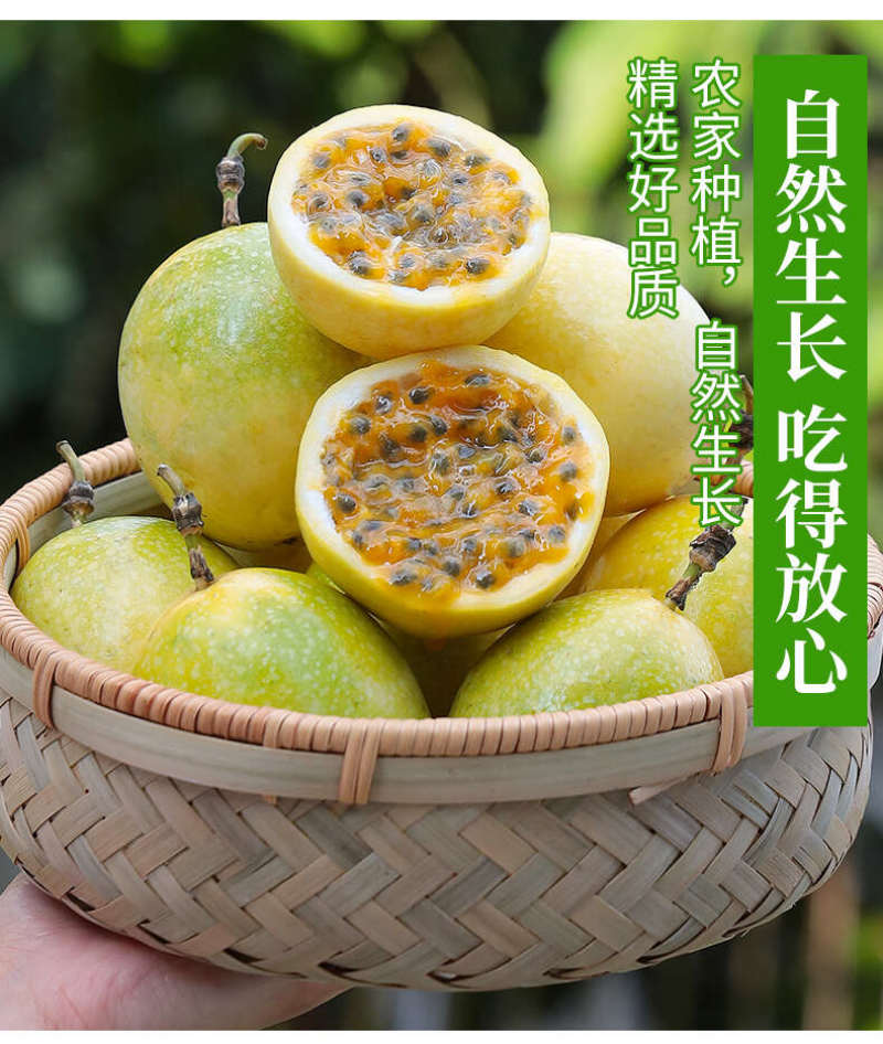 钦蜜9号百香果