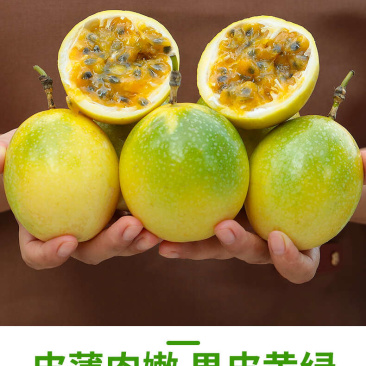 钦蜜9号百香果