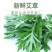 新鲜食用艾草叶田间现摘正宗艾草叶