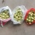 山西省运城市盐湖区鲜食大颗粒梨枣