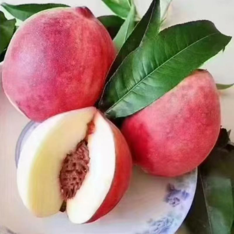 秦安蜜桃
