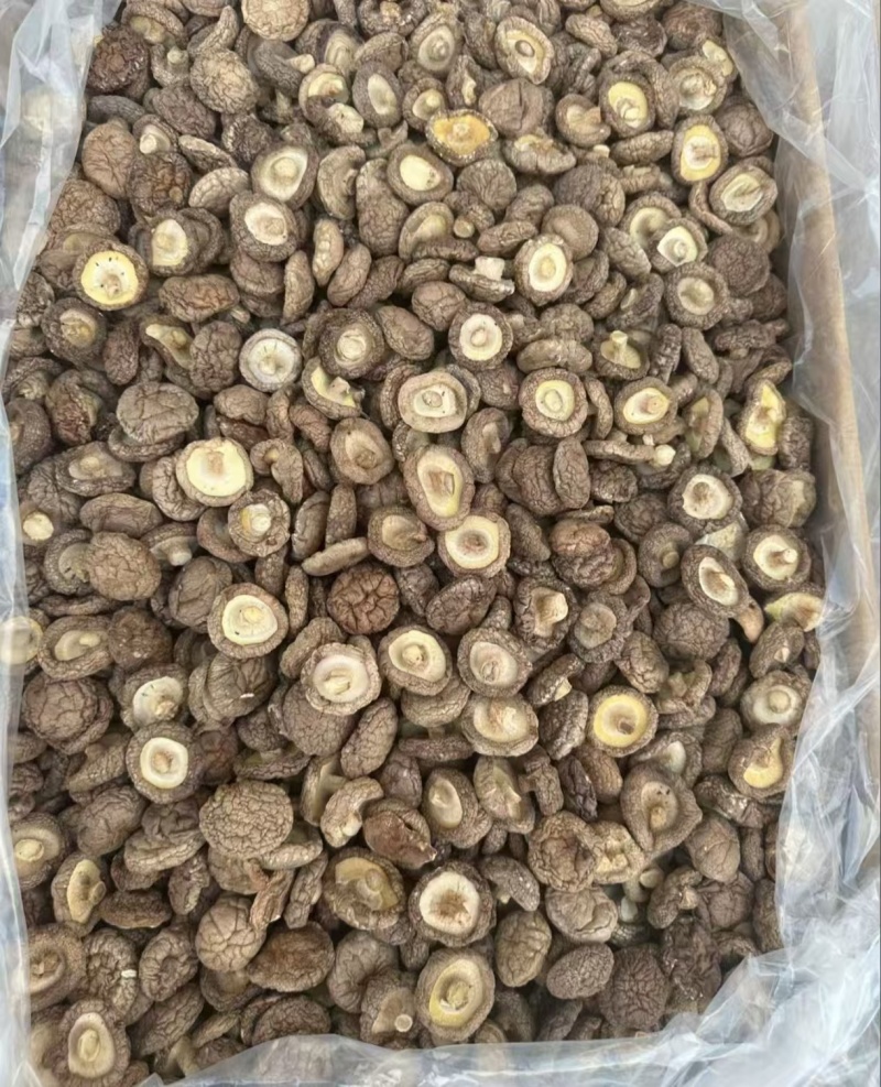 干香菇