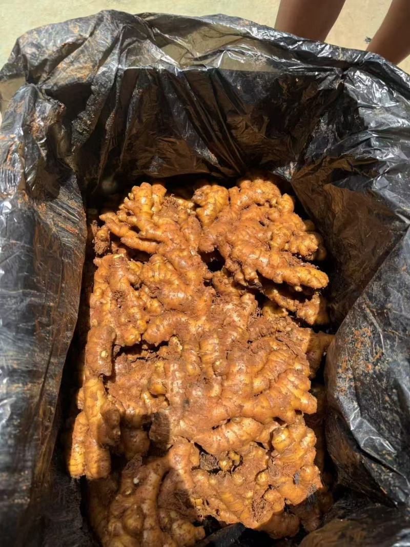 云南小黄姜，二黄姜。冷库姜